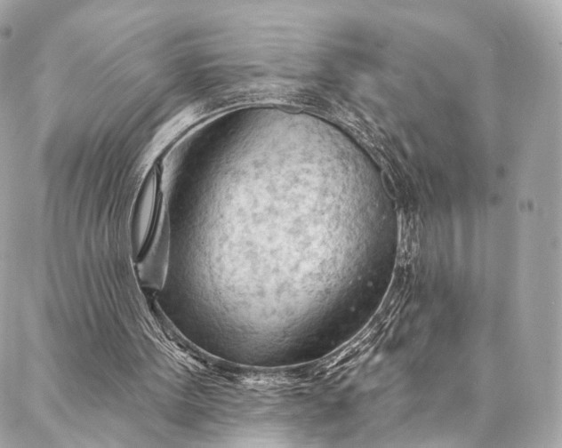 X0000087030099200704301349