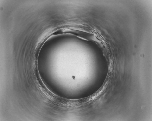 X0000087030101200704301349