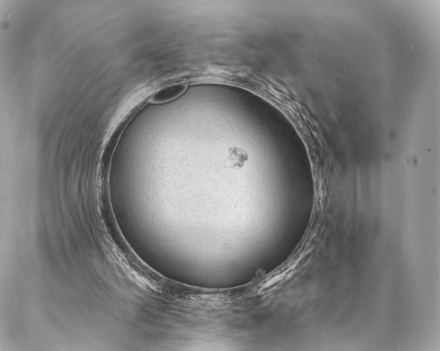 X0000087030102200704301349