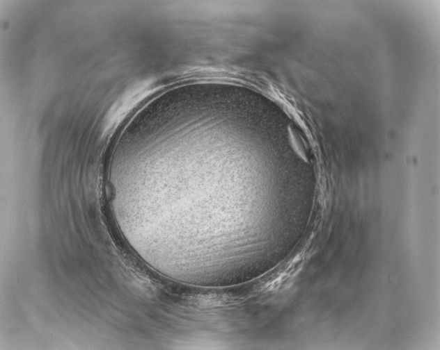 X0000087030103200704301349