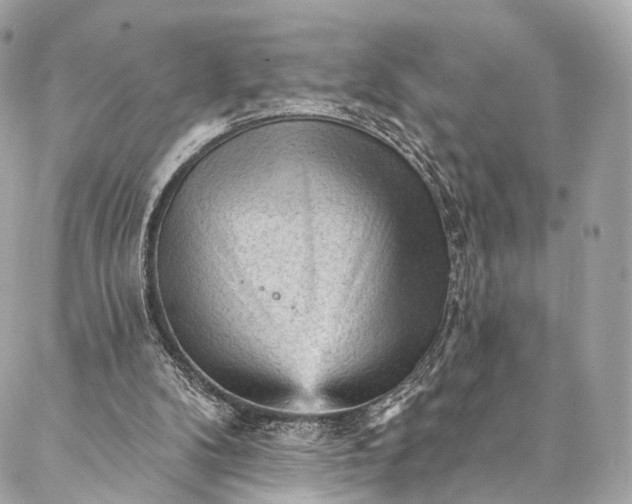 X0000087030104200704301349