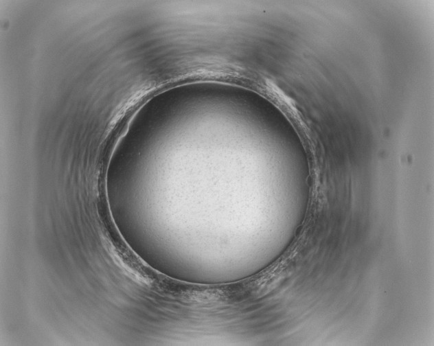 X0000087030106200704301349