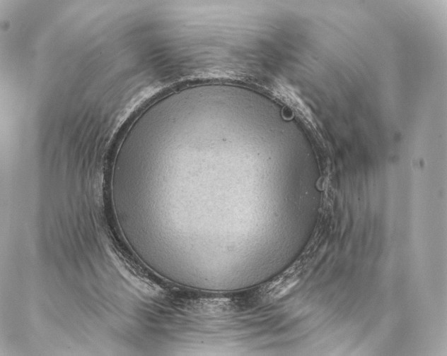 X0000087030108200704301349