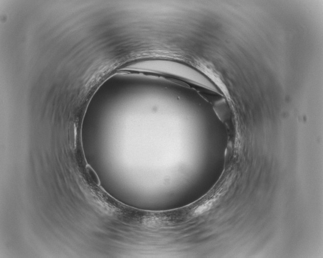 X0000087030109200704301349