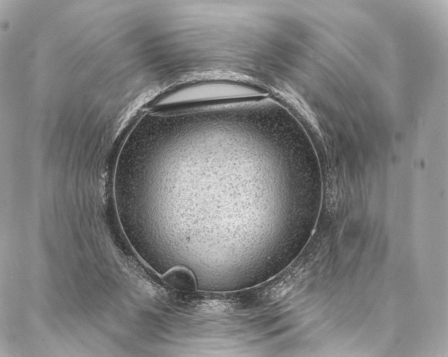 X0000087030111200704301349