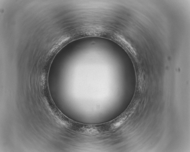 X0000087030113200704301349