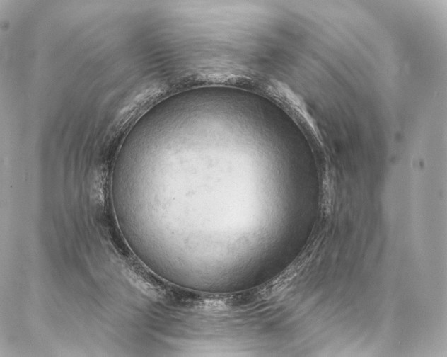 X0000087030114200704301349