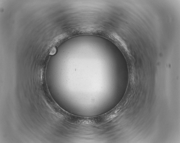 X0000087030115200704301349