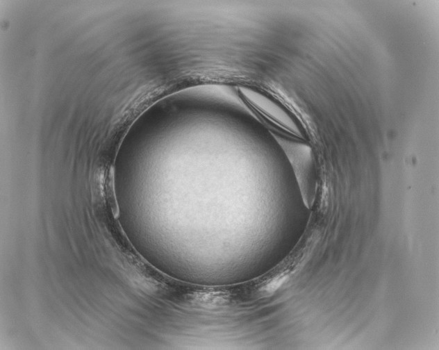 X0000087030117200704301349