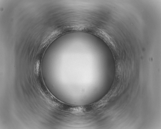 X0000087030118200704301349