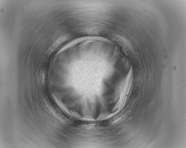 X0000087030120200704301349