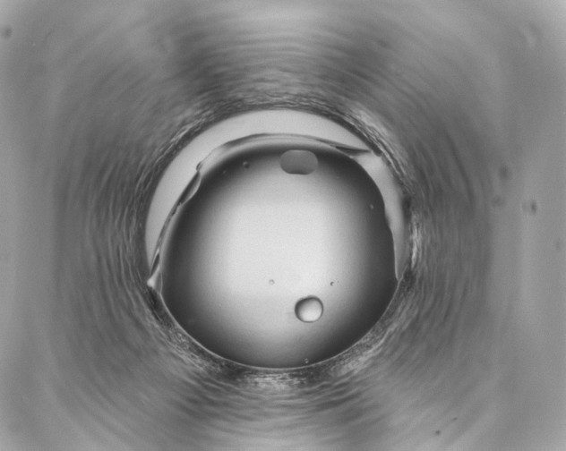 X0000087030121200704301349