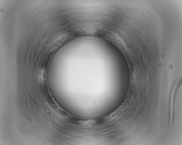 X0000087030122200704301349