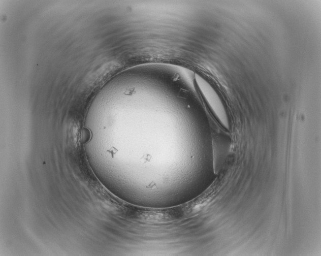 X0000087030123200704301349