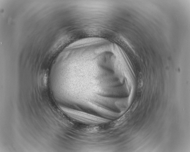 X0000087030124200704301349