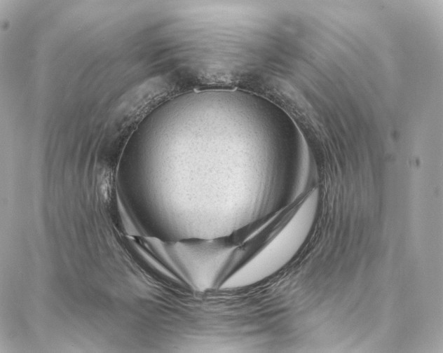 X0000087030125200704301349