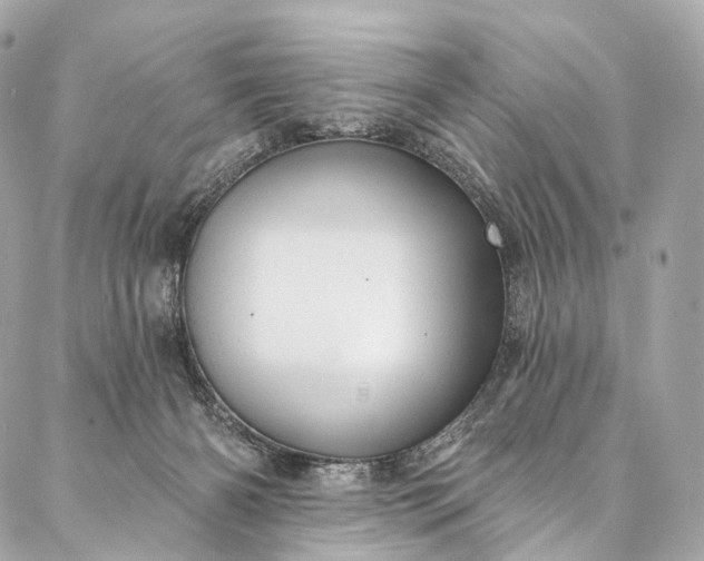 X0000087030126200704301349