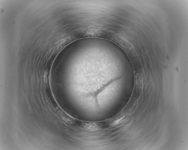 X0000087030127200704301349