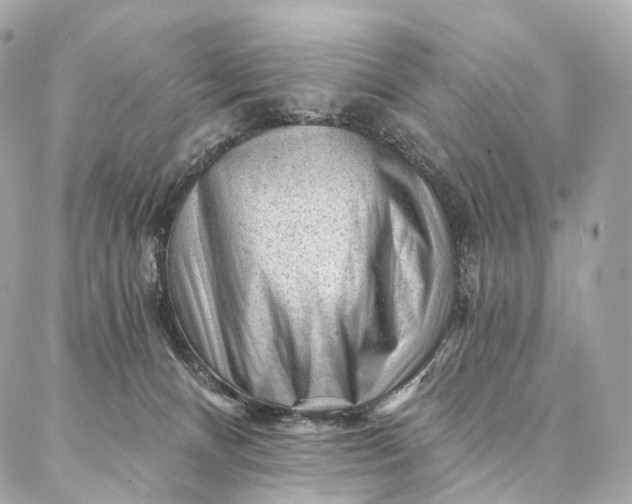 X0000087030128200704301349