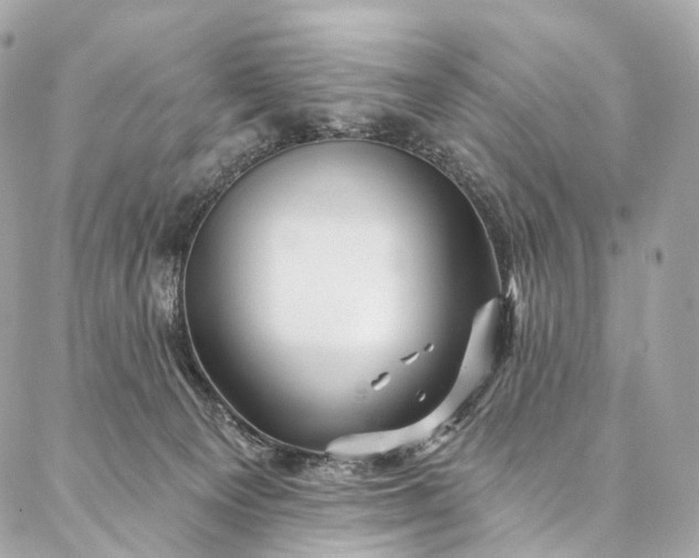 X0000087030129200704301349