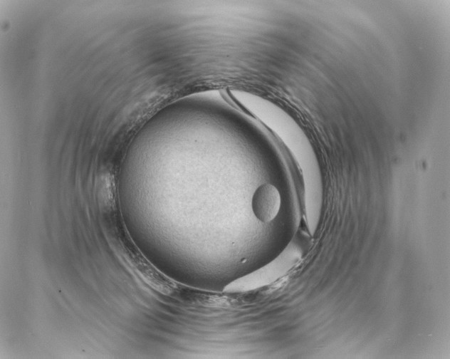 X0000087030130200704301349