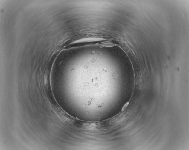 X0000087030131200704301349