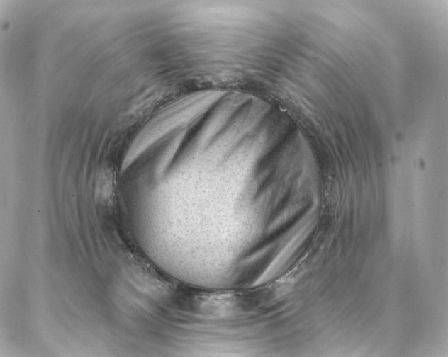 X0000087030132200704301349