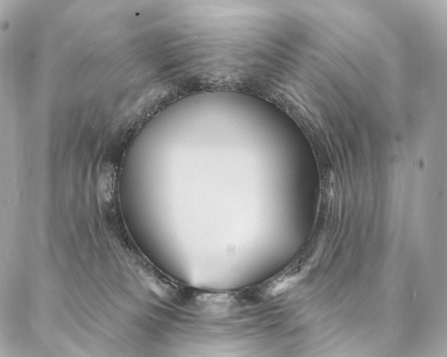 X0000087030133200704301349