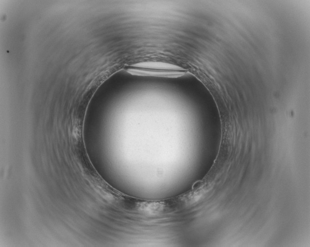 X0000087030135200704301349