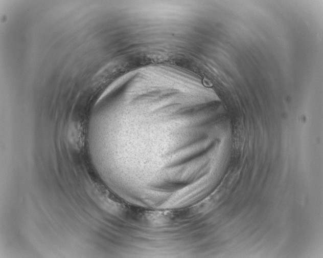 X0000087030136200704301349