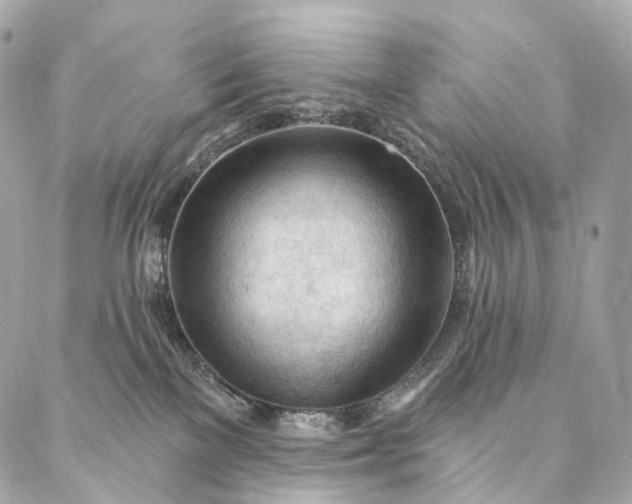 X0000087030137200704301349