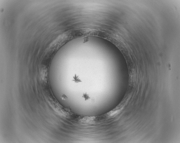 X0000087030138200704301349