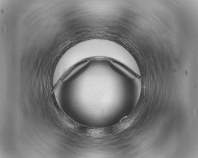 X0000087030139200704301349