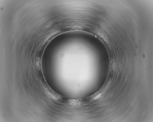 X0000087030141200704301349