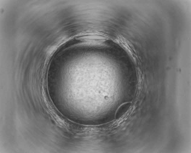 X0000087030145200704301348