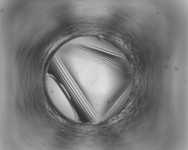 X0000087030146200704301348