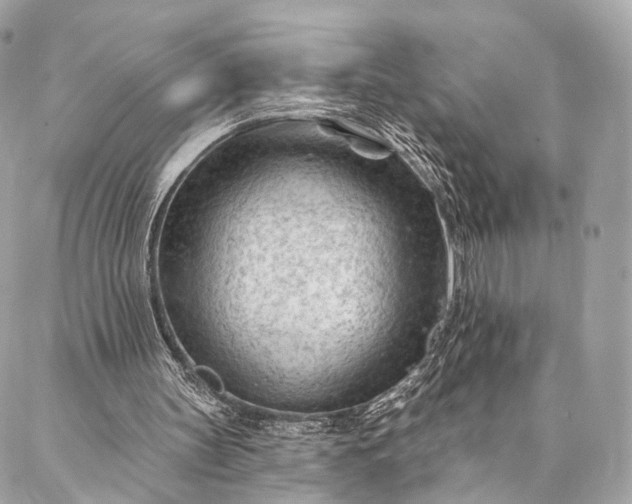 X0000087030147200704301348