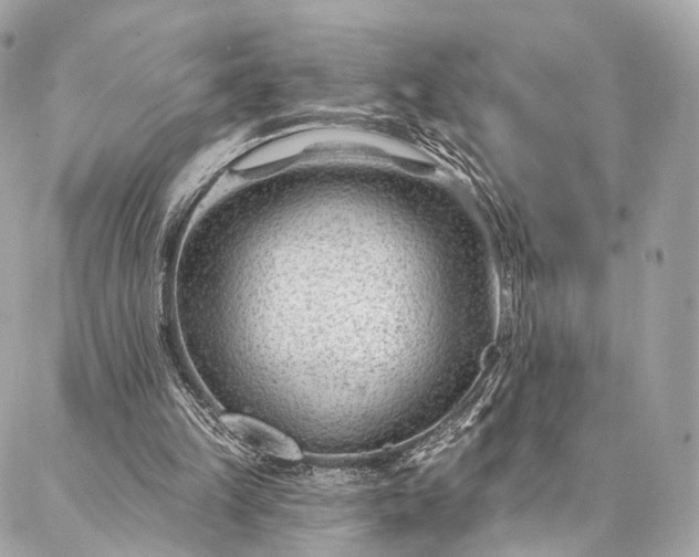 X0000087030149200704301348