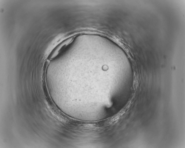 X0000087030151200704301348