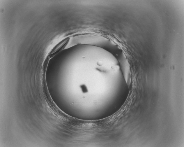 X0000087030152200704301348