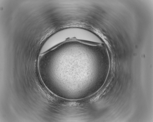 X0000087030153200704301348