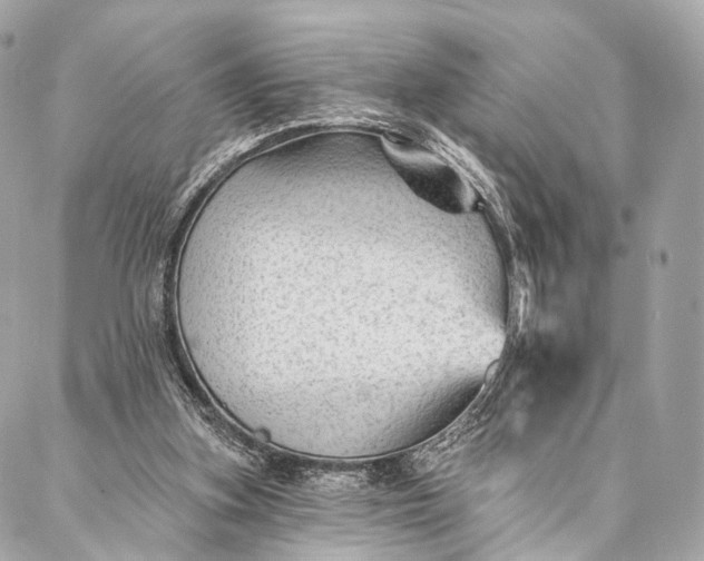 X0000087030155200704301348