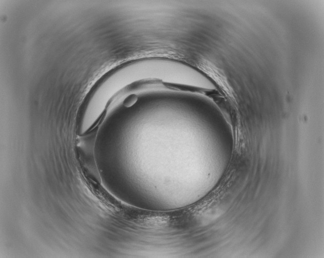 X0000087030156200704301348