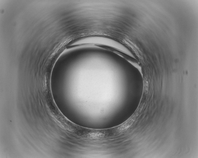 X0000087030158200704301348