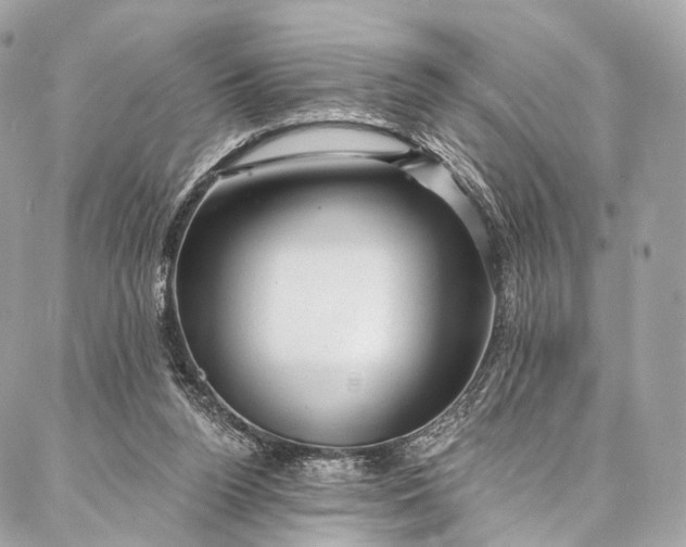 X0000087030160200704301348