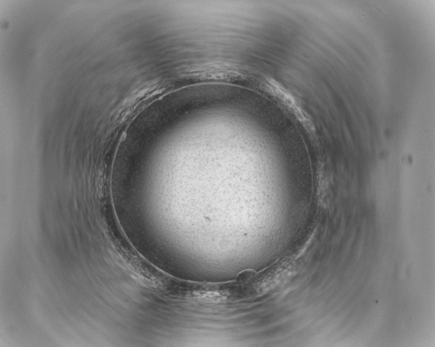 X0000087030161200704301348