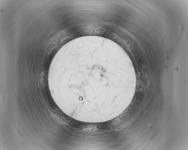 X0000087030162200704301348