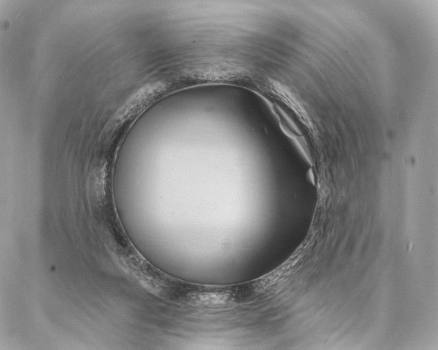 X0000087030163200704301348