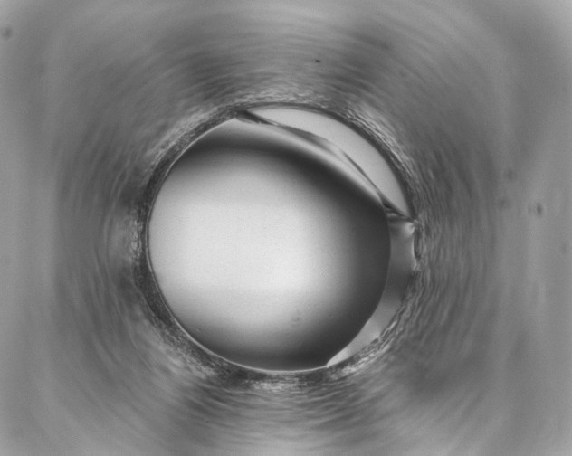 X0000087030164200704301348