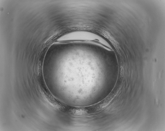 X0000087030165200704301348